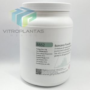Banana Powder 1Kg - Imagen 3