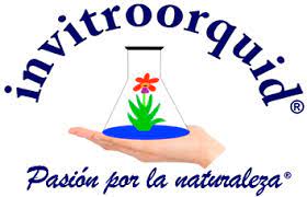 logo_invitroorquid