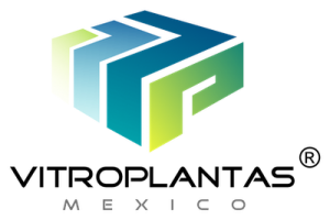 logo_vp