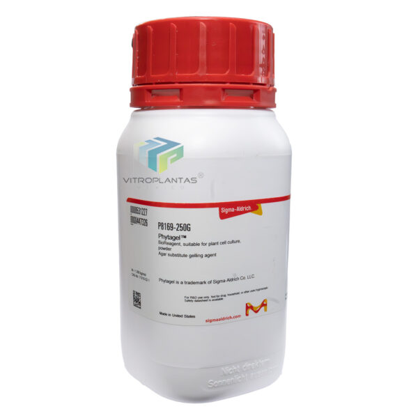 P8169-250G_1